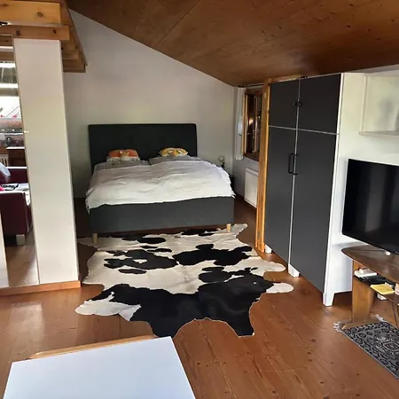Gartenstudio Belle Vue Appartement-fewo- Bad- Wc- 1 Schlafraum By Interhome Apartamento